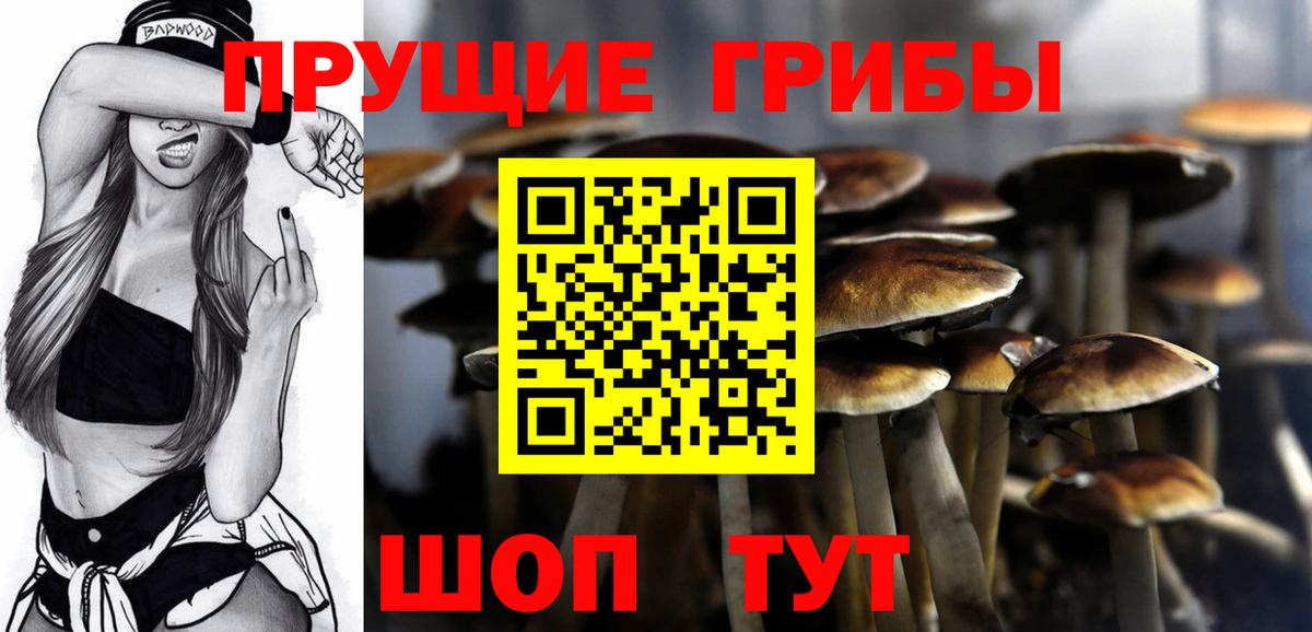 Галлюциногенные грибы ЛСД  Галлюциногенные грибы Magic Shrooms  Губкинский  наркотики  Вход с VPN 